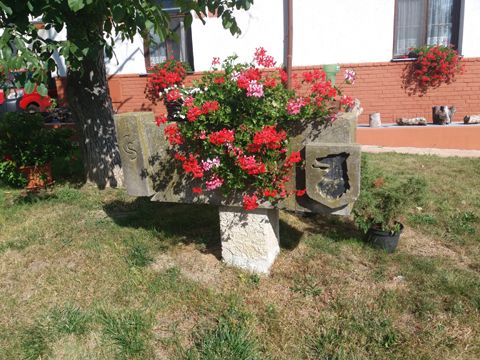 Foto 87